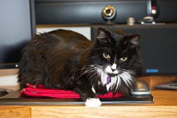 11 7-Feb-13 10-22-32 D800 012